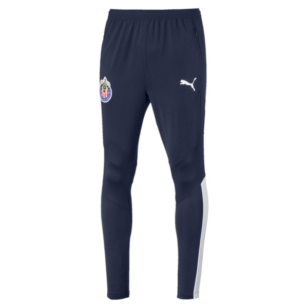 puma training pants pro