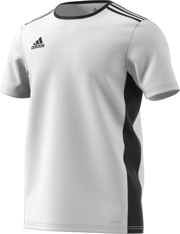 adidas entrada 18 jersey