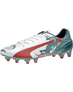 Puma evoSPEED 1.3 Graph FG