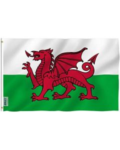 Wales Flag 3x5