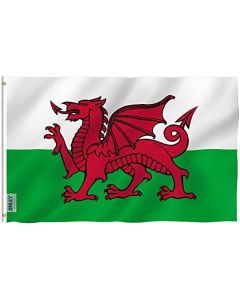 Wales Flag 3x5