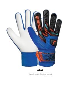 Reusch Attrakt Starter Solid