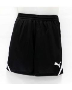 Puma Men's Munich Short