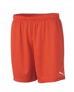 Puma Youth Vencida Shorts 2 W/O Brief