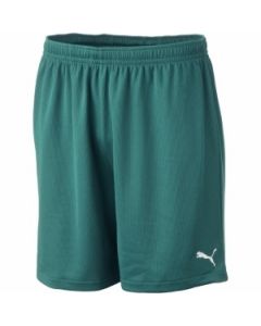 Puma Youth Vencida Shorts W/O Brief