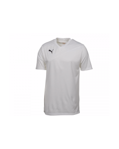 Puma Youth Esito 3 Shirt