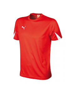 Puma Youth Team Shirt Jersey