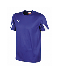 Puma Youth Team Shirt Jersey