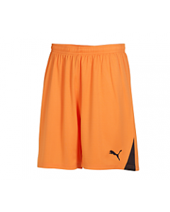 Puma Men's Team Shorts W/O Inner Slip