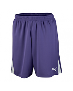 Puma Youth Team Short W/O Inner Slip