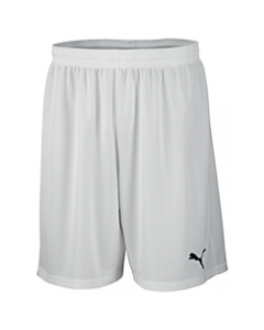 Puma Men's Team Short W/O Inner Slip