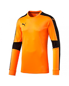 Puma Youth Triumphant GK Shirt