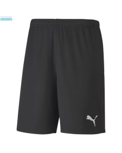 Puma TEAMGOAL 23 KNIT SHORTS