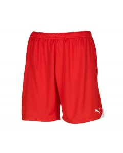 Puma Men's PWR-C 5.10 Shorts US