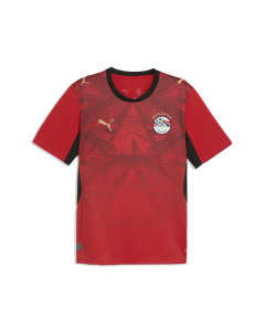 Puma EFA HOME JERSEY REPLICA WC26