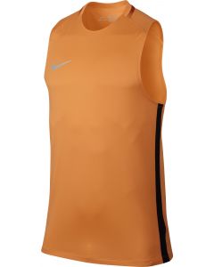 Nike Breathe CR7 Squad Football Top