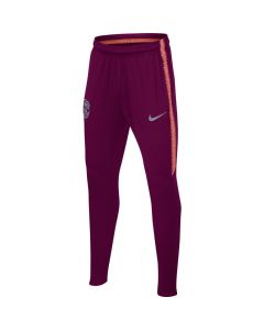 Nike Dry FC Barcelona Youth Squad Pants