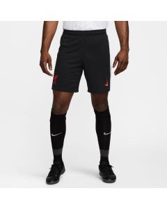 Nike Liverpool FC 2024/25 Stadium 3rd Short