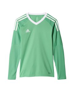 Adidas Revigo 17 Goalkeeper Jersey Youth 