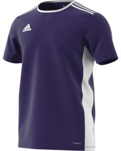 Adidas ENTRADA 18 JERSEY