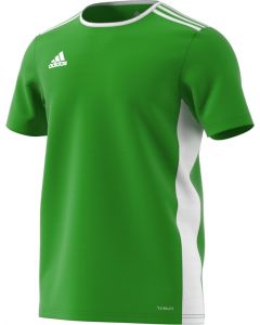 Adidas  ENTRADA 18 Jersey