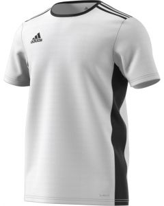 Adidas ENTRADA 18 JERSEY