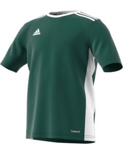 adidas Youth Entrada 18 Jersey