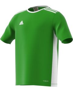 Adidas Youth Entrada 18 Jersey 