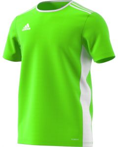 Adidas ENTRADA 18 JERSEY