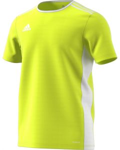 Adidas  ENTRADA 18 Jersey