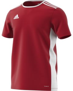 Adidas ENTRADA 18 JERSEY