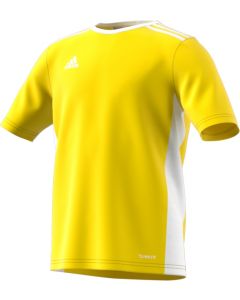 adidas Youth Entrada 18 Jersey