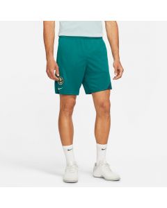 Nike Club América Academy Pro Men's Knit Shorts