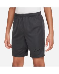 Nike Academy Youth Short