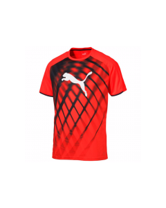 Puma Men's IT evoTRG Graphic Tee