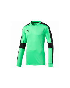 Puma Youth Triumphant GK Shirt