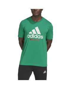 adidas MEXICO 2022 GRAPHIC TEE (Green)