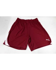 Puma Men's PWR-C 5.10 Shorts US