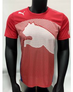 Puma Men's evoSPEED Cat Graphic Tee