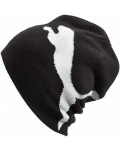 Puma Teamsport Beanie