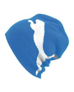 Puma Teamsport Beanie