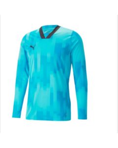 Puma TEAMTARGET GK LS JERSEY