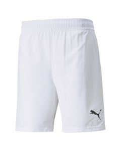 Puma TEAM FINAL Shorts