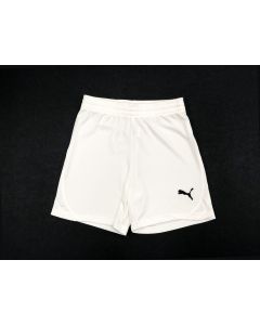 Puma Youth Munich Short