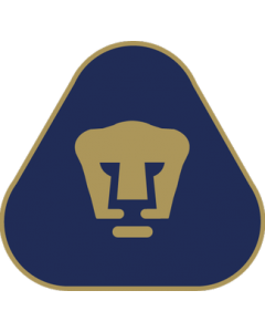 Pumas Flag