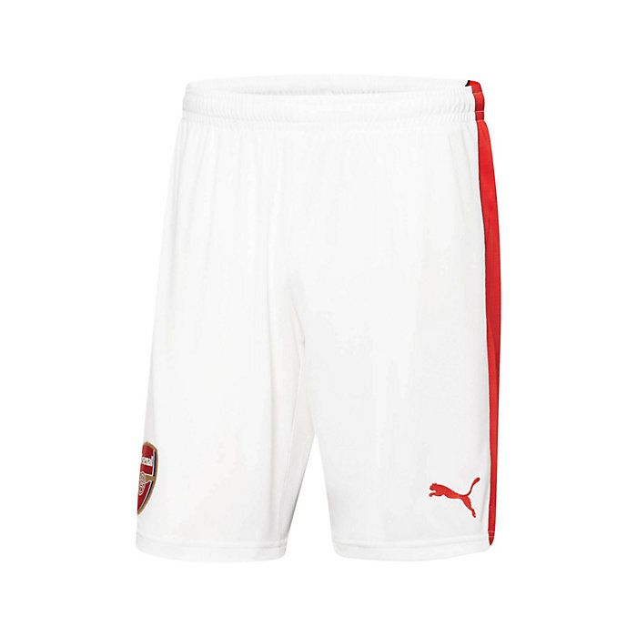 Puma shorts mens 2016 new arrivals
