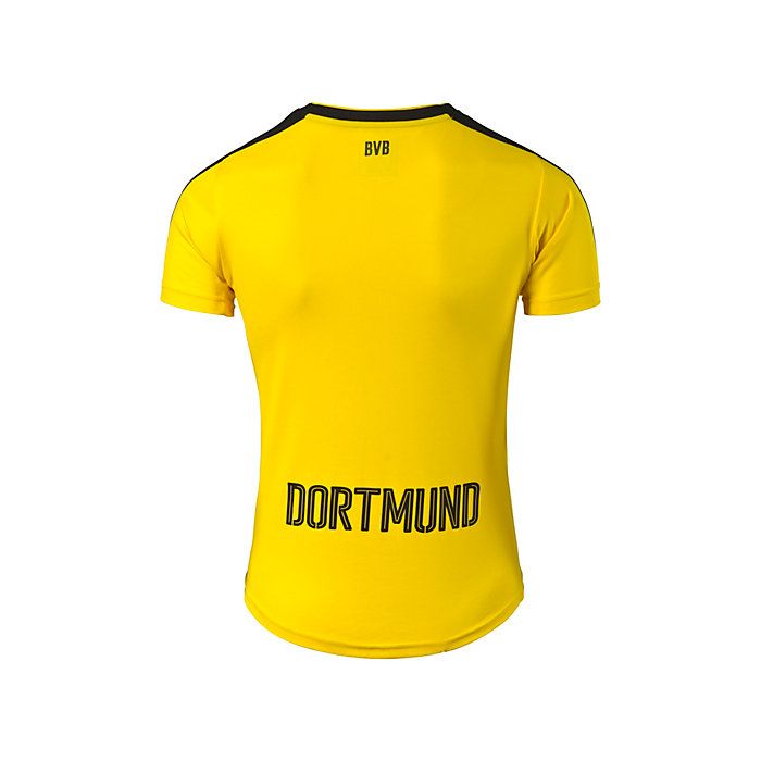 Borussia dortmund jersey 2016 2025
