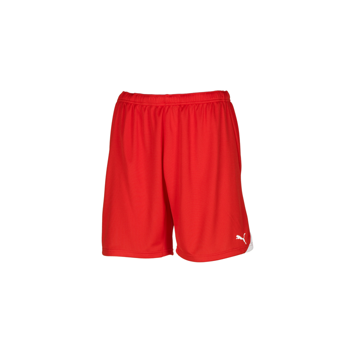 Puma powercat 5.10 shorts 2025