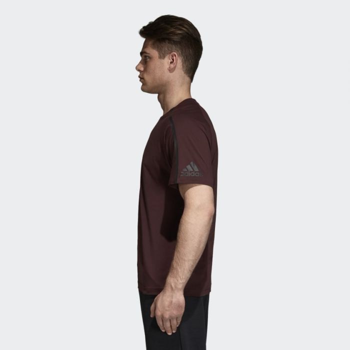 Zne tee online