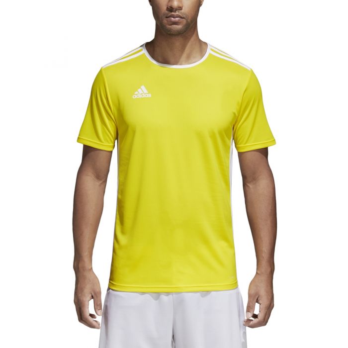 adidas Entrada 18 Jersey